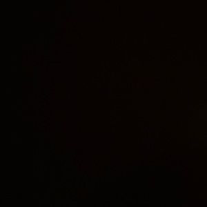 Meet your Posher, Fidel